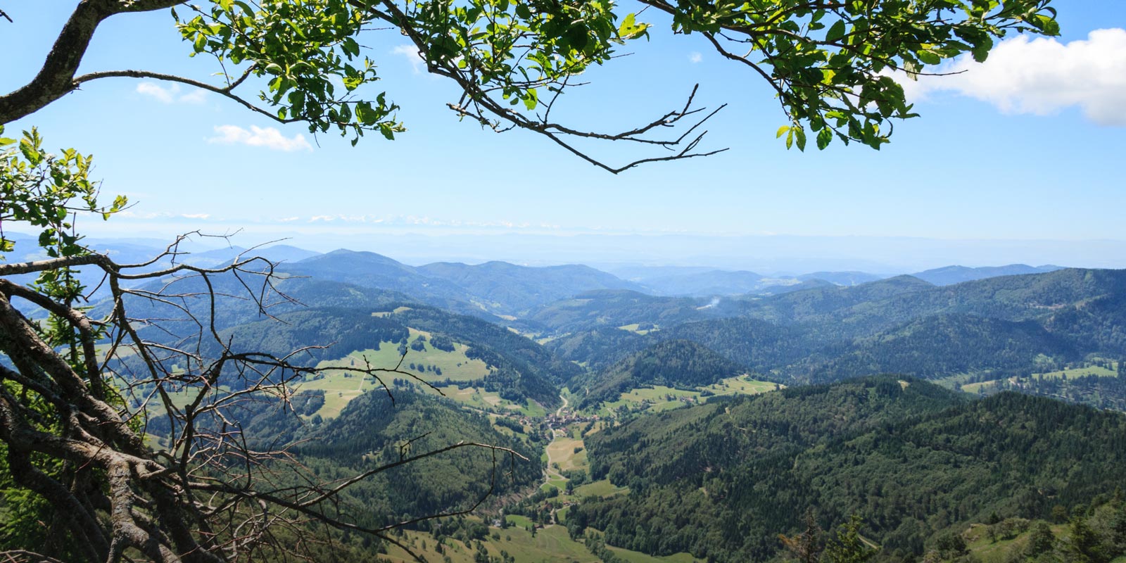 Aussicht bis in dei Alpen