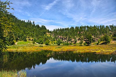 Nonnenmattweiher