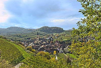 Weinanbaugebiet Kaiserstuhl