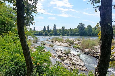 Der Rhein bei den Isteiner Schwellen